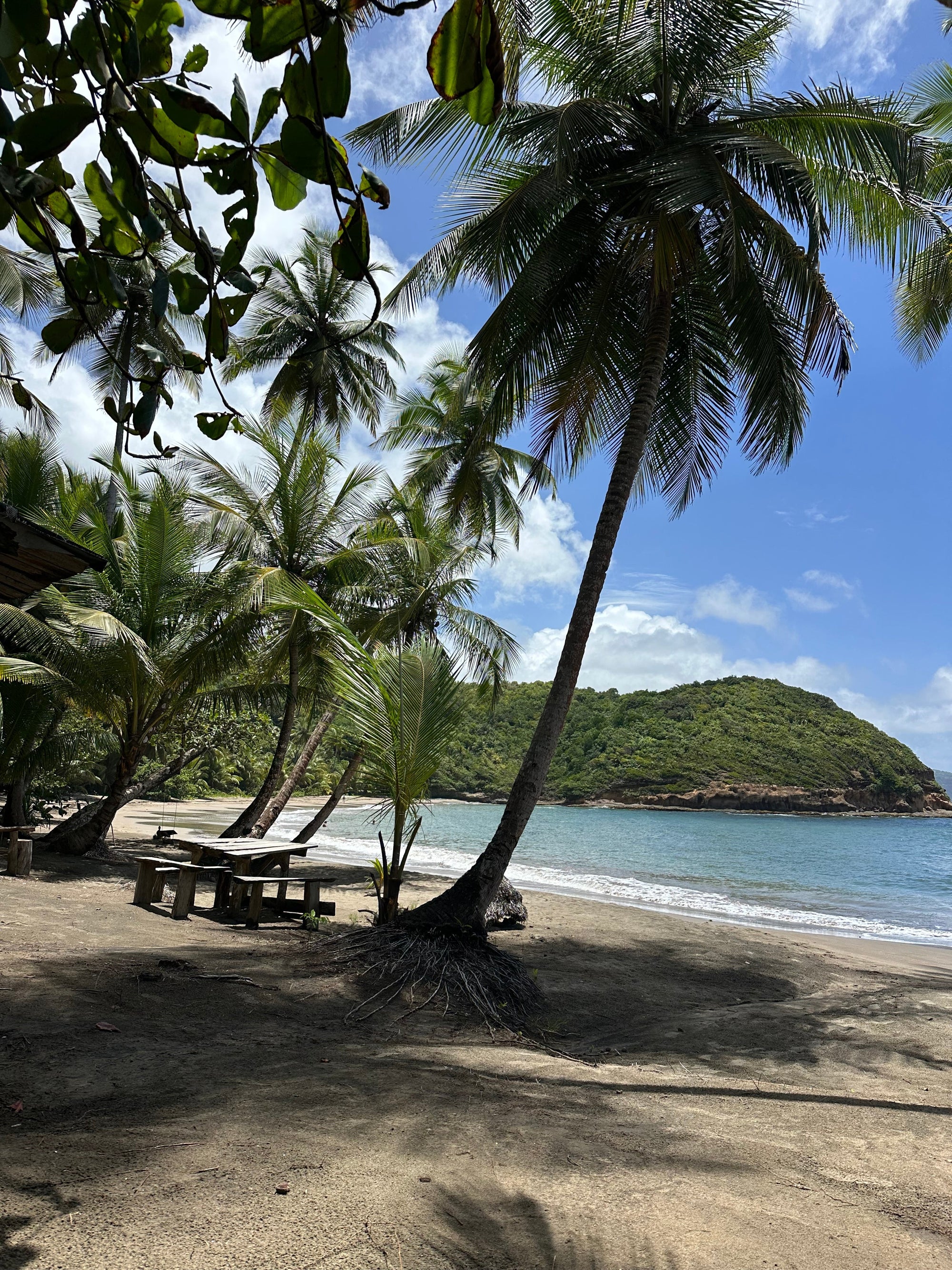 Island-Inspired Living