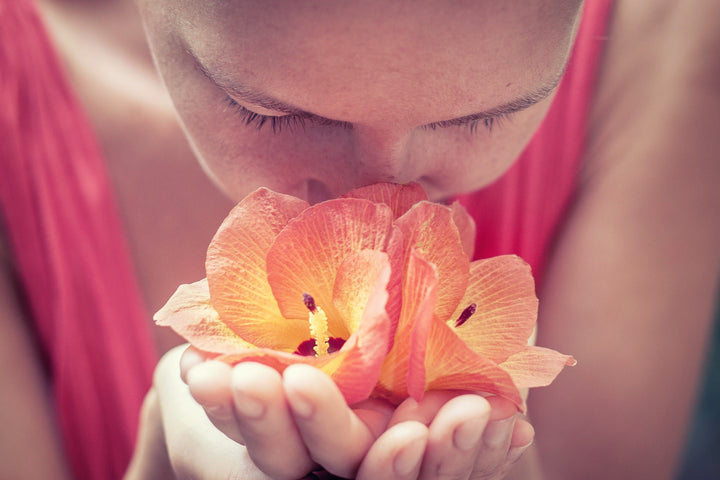 Is smell the most powerful sense?