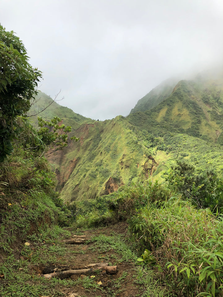 What makes Dominica so special?