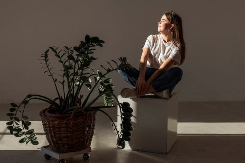 Nature-Derived Elements in Creating Tranquil Indoor Sanctuaries