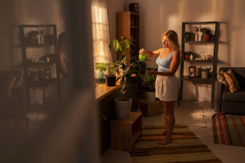 How Natural Light and Flame Create Layers of Calm in Modern Homes