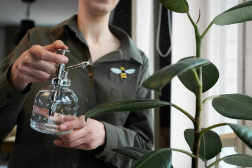 The Shift Toward Eco-Friendly Materials in Luxury Home Fragrance
