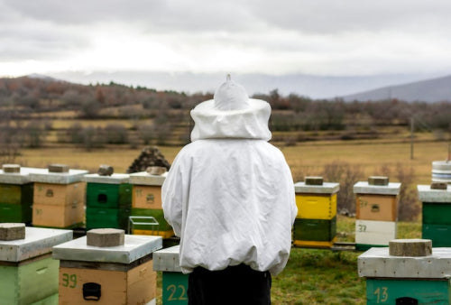 Supporting Bee Populations Through Responsible Sourcing Practices