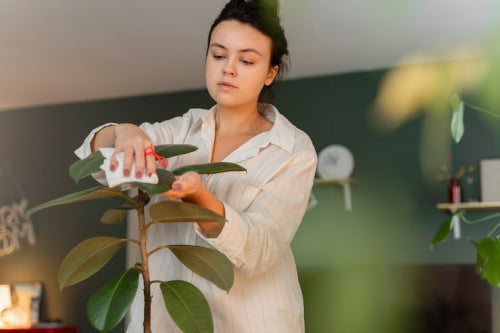 Natural Materials Support Cleaner Indoor Air Preferences