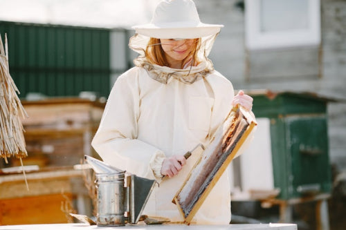 Handcrafted Beeswax Products Support Pollinator Conservation
