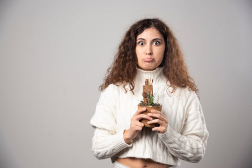 How to Choose the Right Isle de Nature Fragrance Product