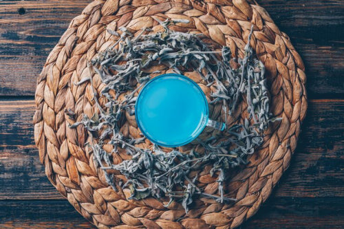Pagua Bay Scent Coin: A Simple Fragrance Accent for Everyday Spaces