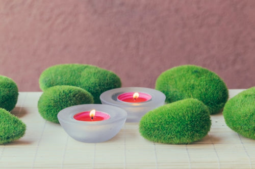 Pagua Bay Candle vs Pagua Bay Votive: Which Isle de Nature Size Fits Your Space?