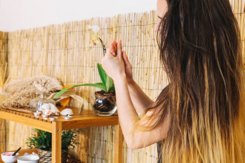 Best Isle de Nature Products for Nature-Inspired Home Fragrance