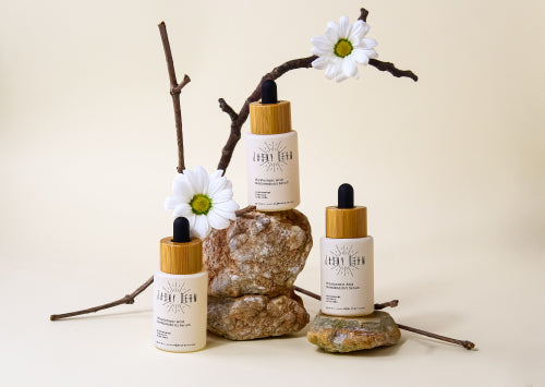 How Botanical Ingredients Support Healthy Skin