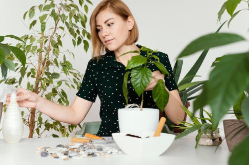 Why Plant-Based Beauty Fits Eco-Friendly Living
