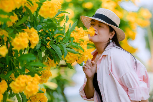 What Makes Botanical Fragrances Feel Refreshing