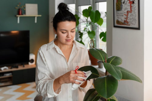 What Makes Botanical Self-Care Products Unique