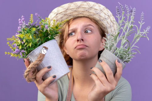 What Features Matter Most in Botanical Skincare