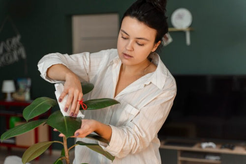 How to Evaluate Botanical Beauty Products for Long-Term Use