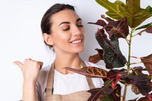 How Plant-Based Beauty Supports Healthy Skin