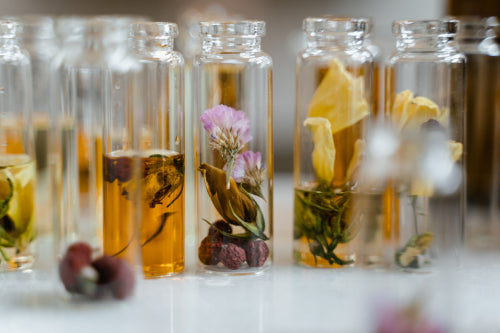 How Botanical Ingredients Work Together for Skin Health