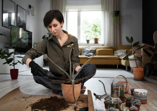 Why Clean Burning Matters for Home Environments
