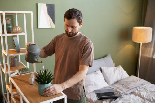 How Home Atmosphere Influences Daily Routines