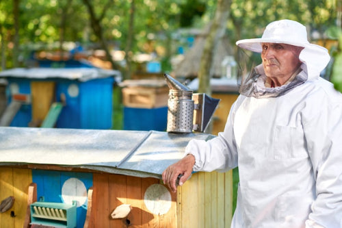 How Isle de Natures Sustainability Efforts Are Rebuilding Beehives in Dominica