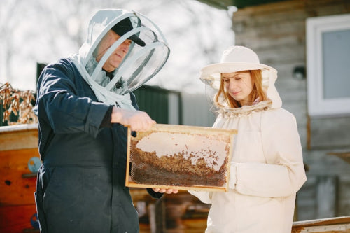 The Importance of Supporting Ethical Beekeeping with Every Candle Purchase