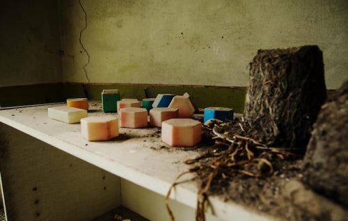 How Isle de Natures Beeswax Candles Help Restore Bee Populations in Dominica