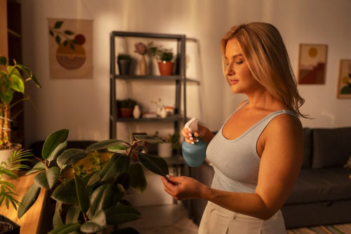 The Growing Influence of Sustainable Candles in Luxury Home Decor