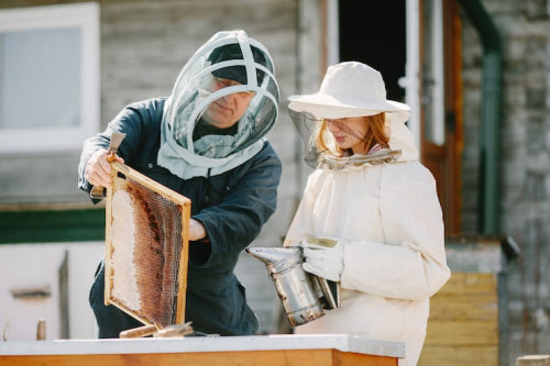 Supporting Bee Populations: How Purchasing Beeswax Candles Helps Rebuild Hives
