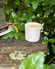 Pagua Bay Fragrance Luxury Beeswax Candle
